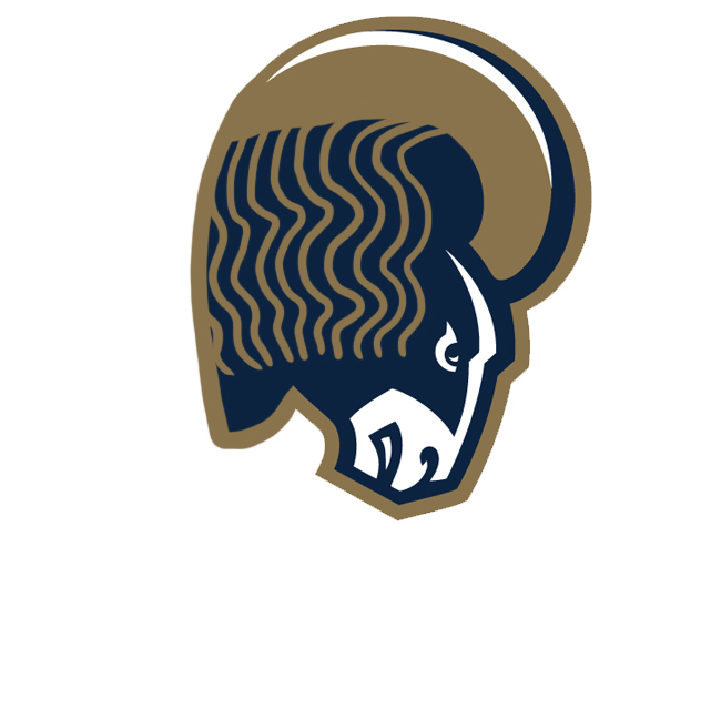 Los Angeles Rams Ramen Logo DIY iron on transfer (heat transfer)